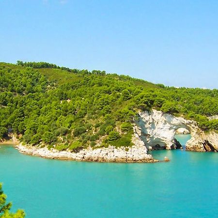 Villa Ulimare Family Residence Vieste Dış mekan fotoğraf